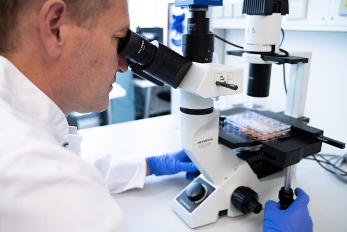 Doktorand (w/m/d) bzw. wissenschaftliche Hilfskraft (w/m/d) / Institut für Zellbiologie, 1. Bild